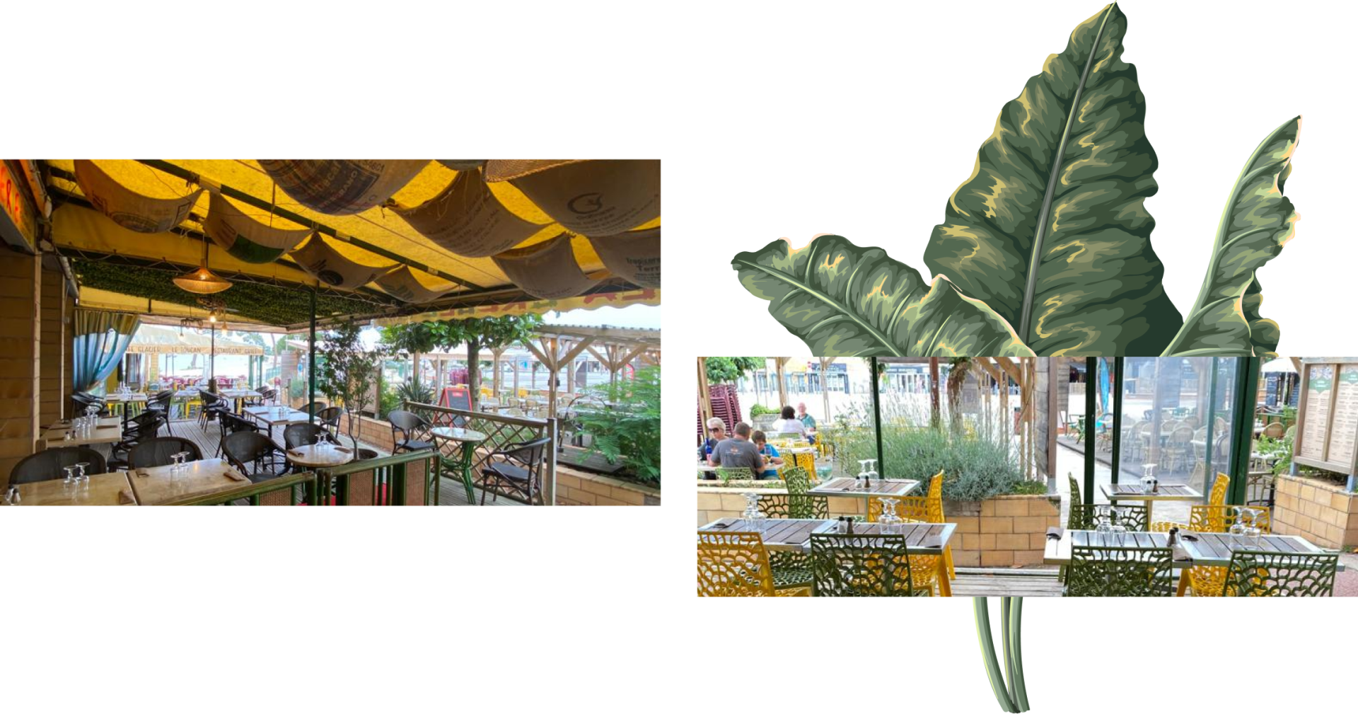 Le restaurant - Le Toucan - Carcans - restaurant CARCANS