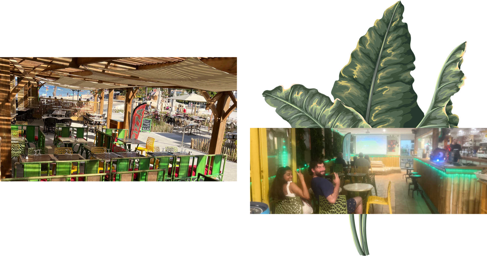 Le Toucan - Restaurant Carcans - restaurant Traditionnel CARCANS