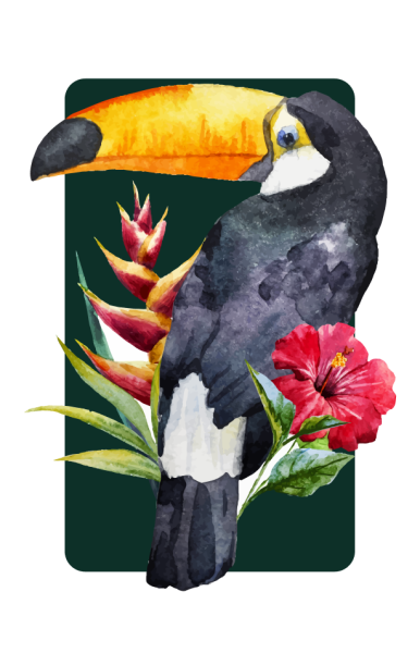 Le restaurant - Le Toucan - Carcans - restaurant Traditionnel CARCANS