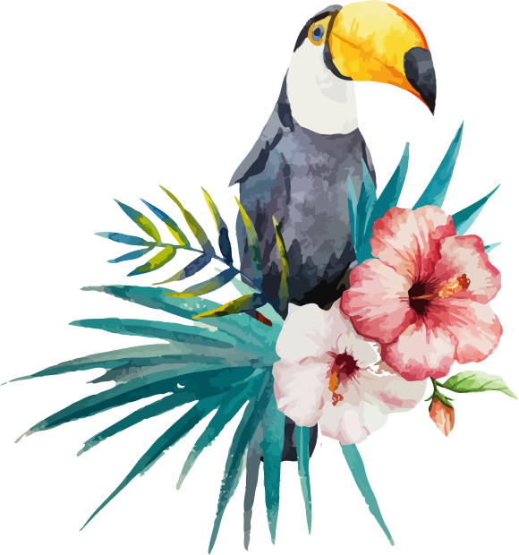 Le restaurant - Le Toucan - Carcans - restaurant Français CARCANS