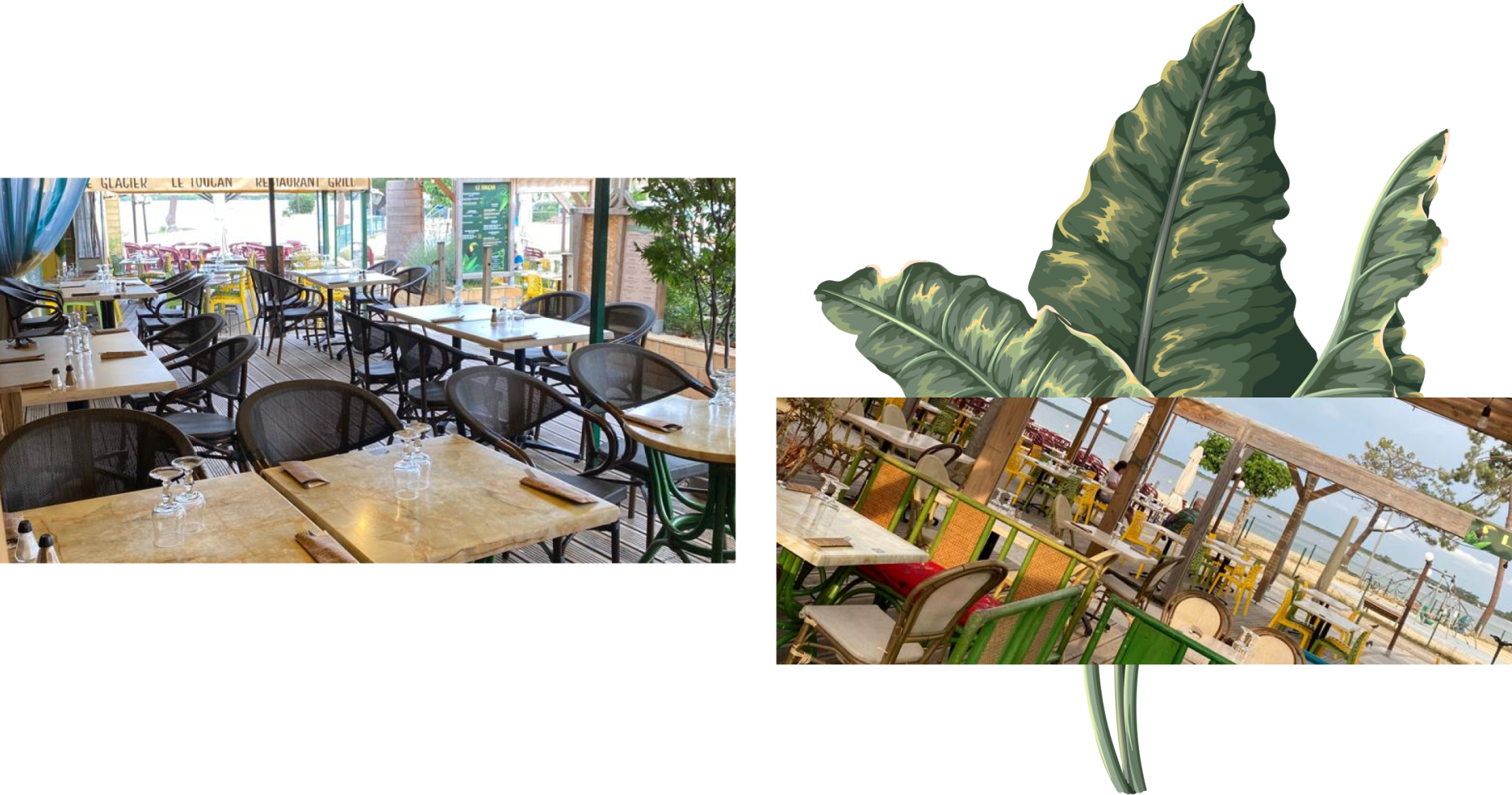 Le Toucan - Restaurant Carcans - restaurant sympa CARCANS