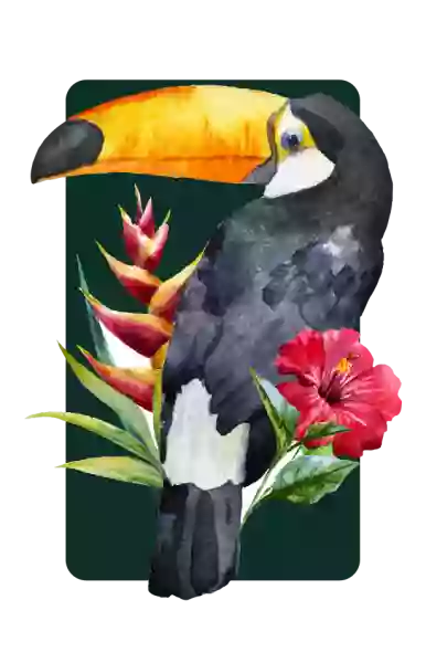 Le restaurant - Le Toucan - Carcans - manger a CARCANS